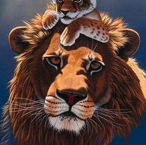 Meet your Posher, Roxann